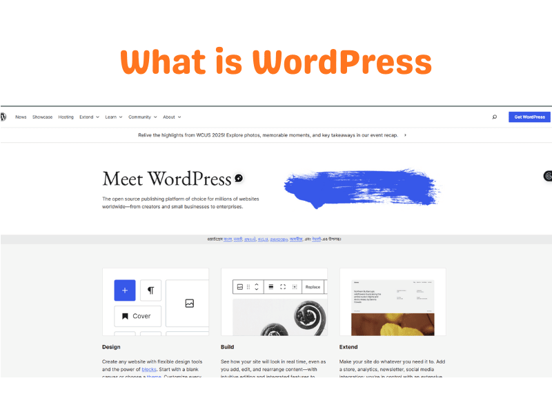 How to Create a Website in WordPress